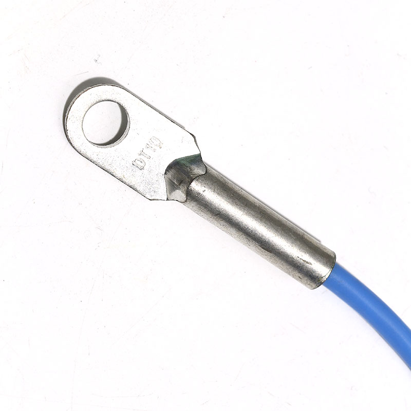 Sonde de capteur de températur - Ds18B20 avis et prix